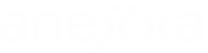 ANEXXA - Soluções de Recursos Humanos, alvará 867/19